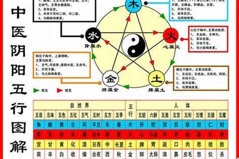 木鼠之命|1984年4月20日出生的人命运如何？五行缺什么？